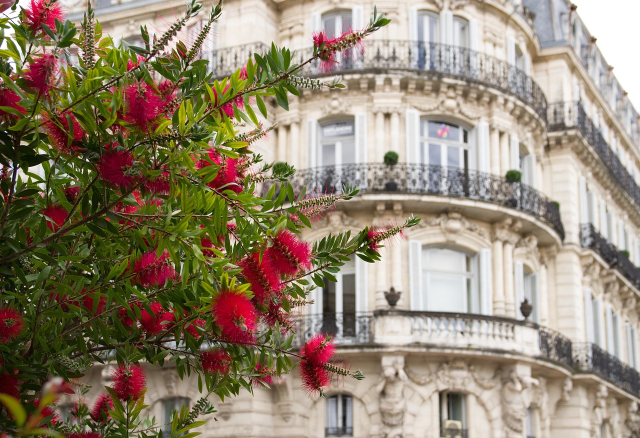 expert en rédaction web à montpellier, je crée des contenus optimisés pour améliorer votre visibilité en ligne et attirer davantage de clients.