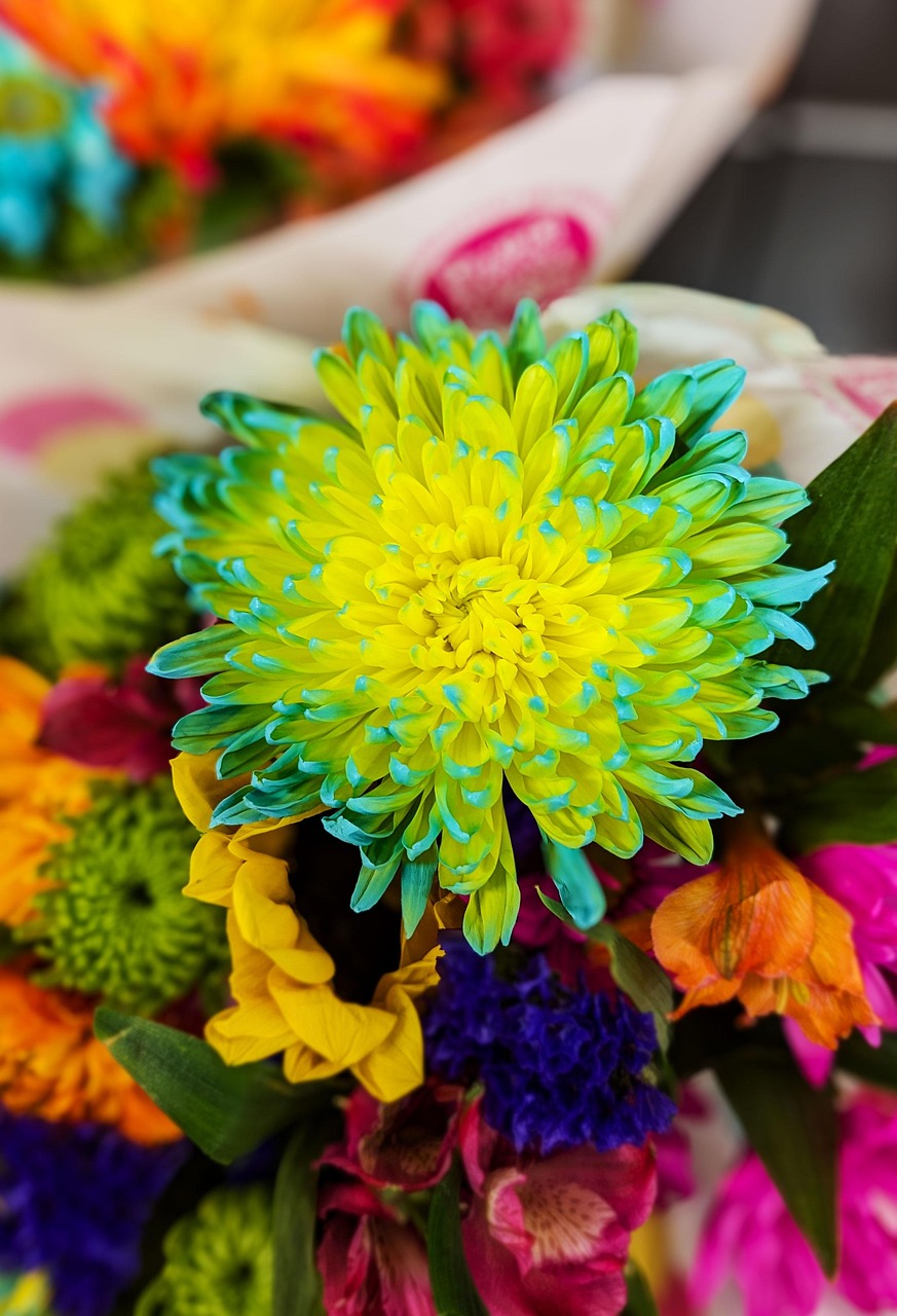 Comment rédiger une lettre de motivation efficace pour devenir fleuriste en 2025